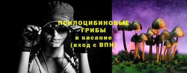 молекула духа Вязники