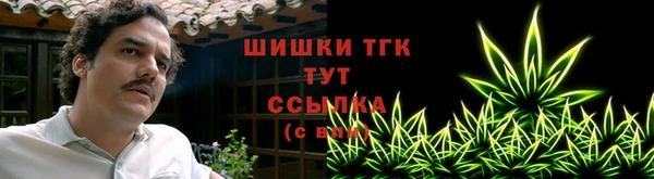 гашик Вяземский