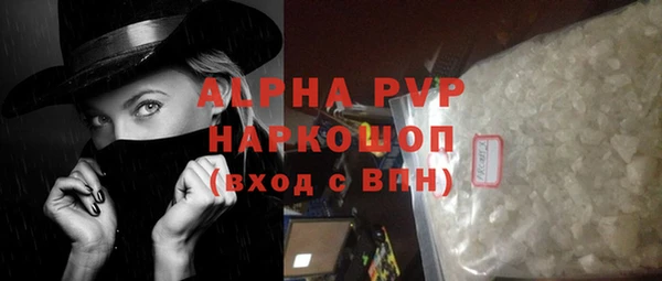 гашик Вяземский
