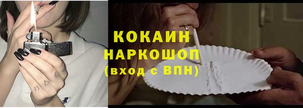 гашик Вяземский