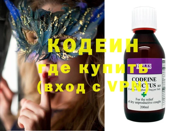 гашик Вяземский