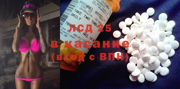 гашик Вяземский