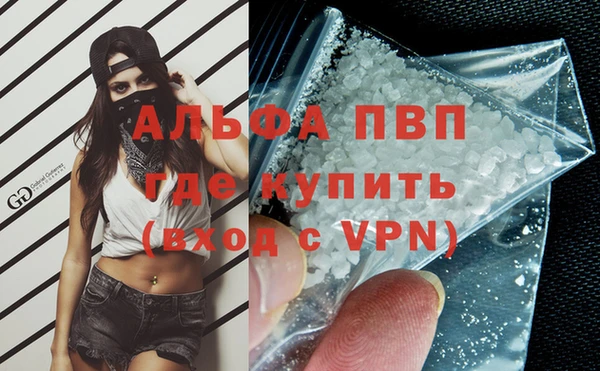 гашик Вяземский