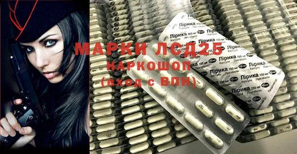 гашик Вяземский