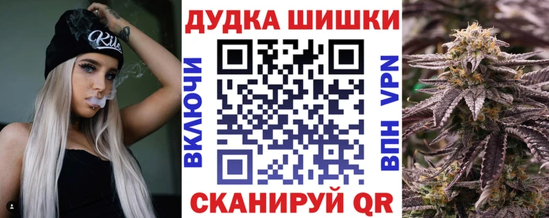 Бошки Шишки план  Онега 